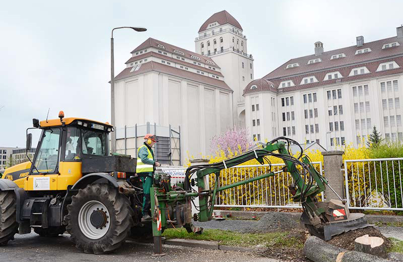 Große Stubbenfräse